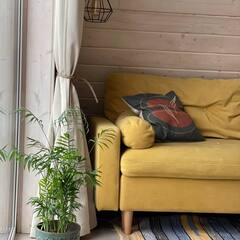 Глэмпинг Relax Villas Shalash, Московская область