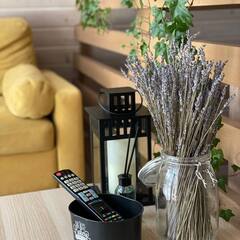 Глэмпинг Relax Villas Shalash, Московская область