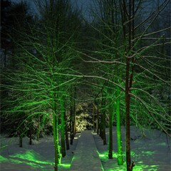 Глэмпинг Домик на хуторе Кууса, Ленинградская область