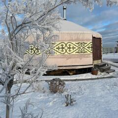 Гостевой дом Дикая земля, Калужская область