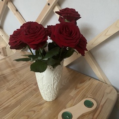 Гостевой дом Дикая земля, Калужская область