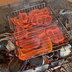 Гостевой дом Дикая земля, Калужская область