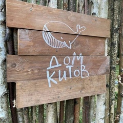 Глэмпинг Дом Китов, Кировская область