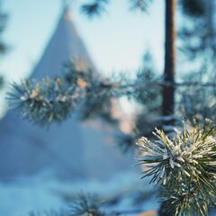 Глэмпинг Гиперборея, Мурманская область