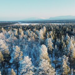 Глэмпинг Гиперборея, Мурманская область