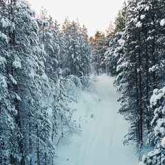 Глэмпинг Гиперборея, Мурманская область