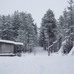 Глэмпинг Гиперборея, Мурманская область