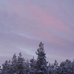 Глэмпинг Гиперборея, Мурманская область