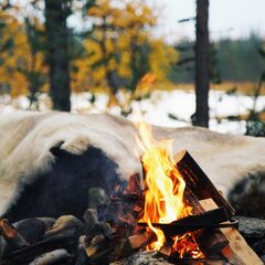Глэмпинг Гиперборея, Мурманская область