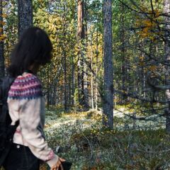 Глэмпинг Гиперборея, Мурманская область