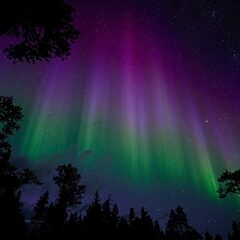 Глэмпинг Гиперборея, Мурманская область