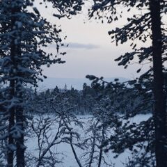 Глэмпинг Гиперборея, Мурманская область