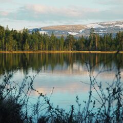 Глэмпинг Гиперборея, Мурманская область