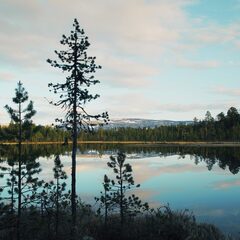 Глэмпинг Гиперборея, Мурманская область