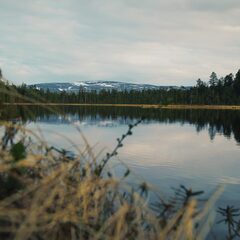 Глэмпинг Гиперборея, Мурманская область