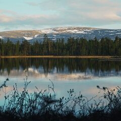 Глэмпинг Гиперборея, Мурманская область