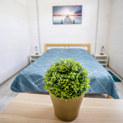 База отдыха Дом капитана, Московская область