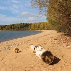 База отдыха Дом капитана, Московская область