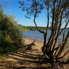 База отдыха Дом капитана, Московская область