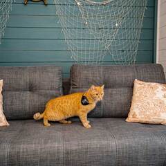 База отдыха Дом капитана, Московская область