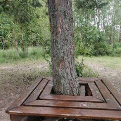 База отдыха Дом капитана, Московская область