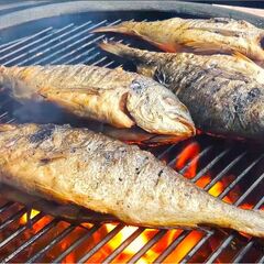 База отдыха Дом капитана, Московская область