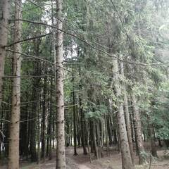 База отдыха Дом капитана, Московская область