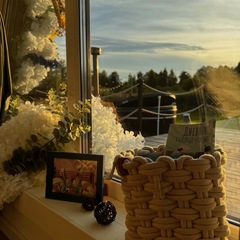 Глэмпинг Априори, Московская область