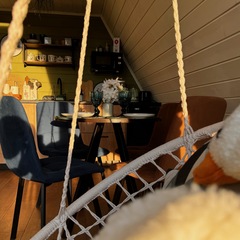 Глэмпинг Априори, Московская область