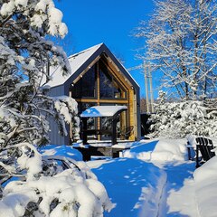 База отдыха Дача на Истре, Истринский район, Московская область