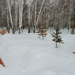 База отдыха Forest Home72, Тюменская область