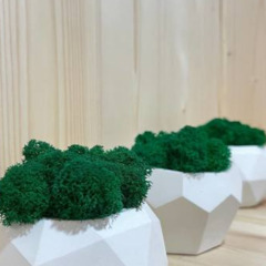 База отдыха Forest Home72, Тюменская область