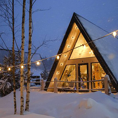 База отдыха А в лесу, Московская область