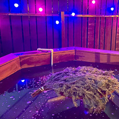 База отдыха А в лесу, Московская область