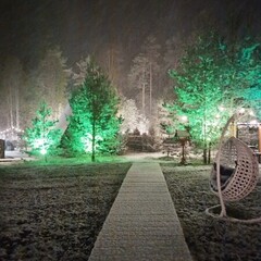 База отдыха А в лесу, Московская область