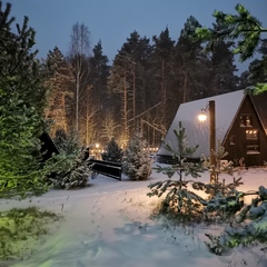База отдыха А в лесу, Московская область
