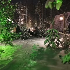 База отдыха А в лесу, Московская область