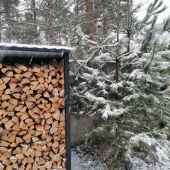 База отдыха А в лесу, Московская область