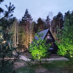 База отдыха А в лесу, Московская область