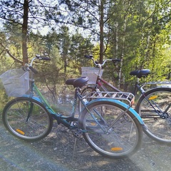 База отдыха А в лесу, Московская область