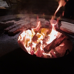 База отдыха А в лесу, Московская область