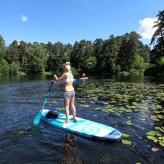 База отдыха А в лесу, Московская область