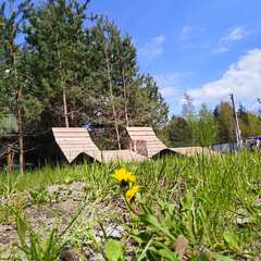 База отдыха А в лесу, Московская область