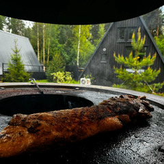 База отдыха А в лесу, Московская область