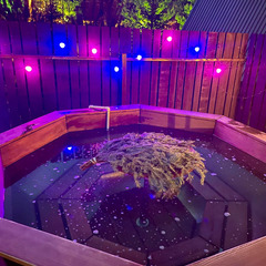 База отдыха А в лесу, Московская область