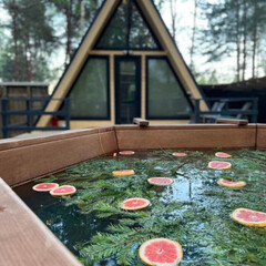 База отдыха А в лесу, Московская область