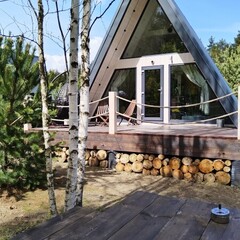 База отдыха А в лесу, Московская область