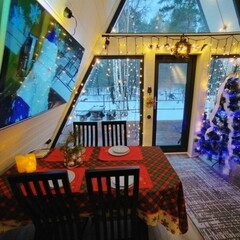 База отдыха А в лесу, Московская область