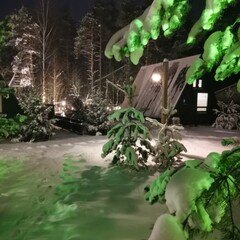 База отдыха А в лесу, Московская область