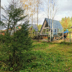 База отдыха А в лесу, Московская область